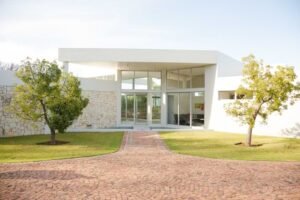 Stone Walkway Modern House